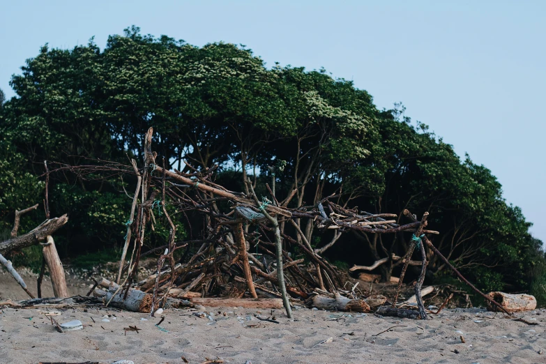 there is a structure made of nches and nches are stuck to the beach