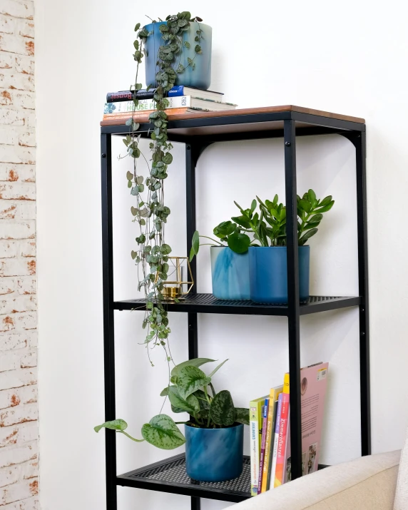 the shelf is filled with some potted plants