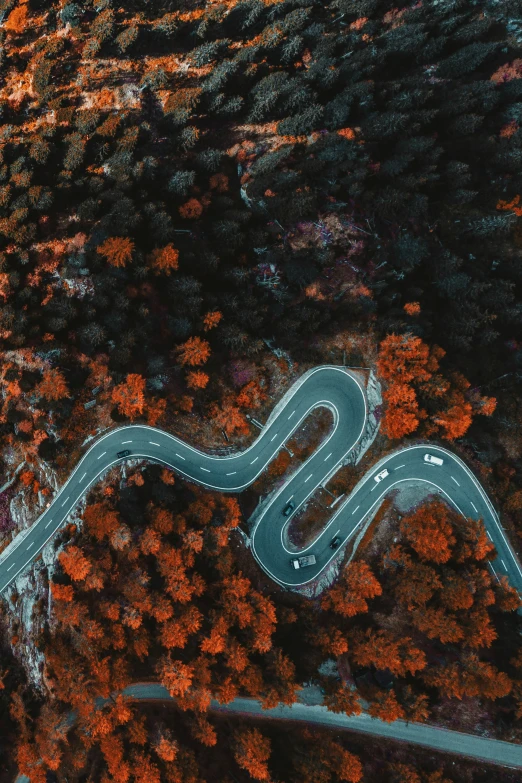 an aerial po of road winding through trees