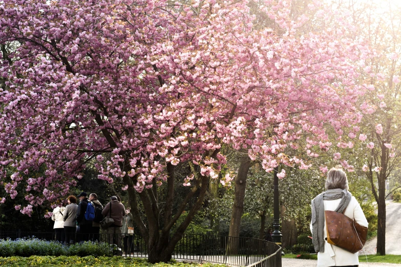 the girl is walking by a tree with a bunch of flowers