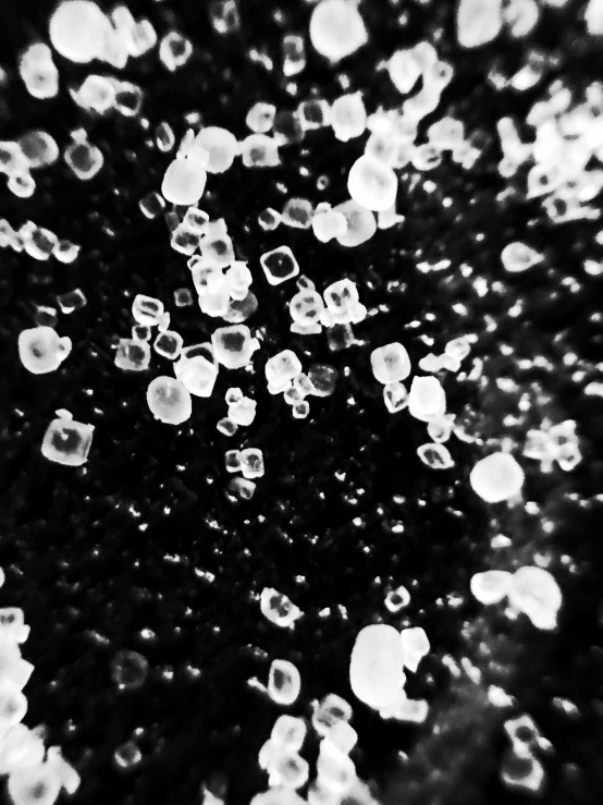 a black and white pograph of bubbles in the water