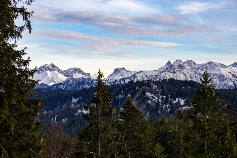 mountains in the distance covered in snow surrounded by trees