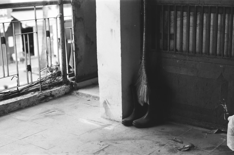 a cat hanging on a door, with a dog in the background