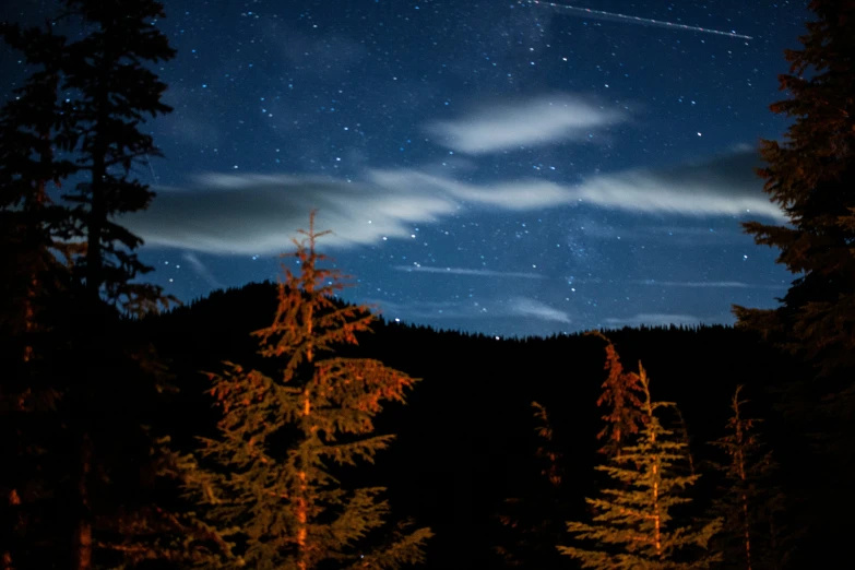 night time sky shows clouds above trees and airplanes streaking across the air