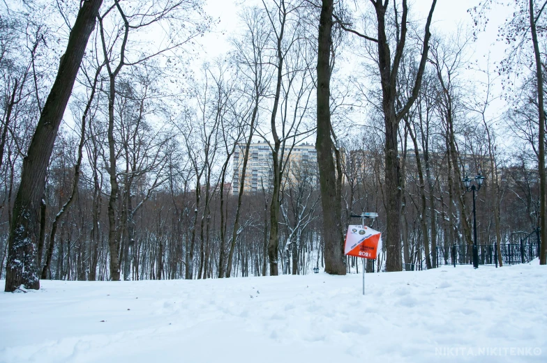 an orange and white sign sitting in the middle of some snow covered woods