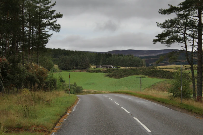 a road going into the distance with a lush green field and forest behind it