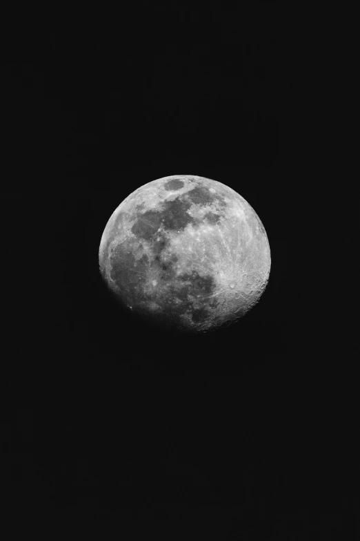 the full moon from below in a dark sky