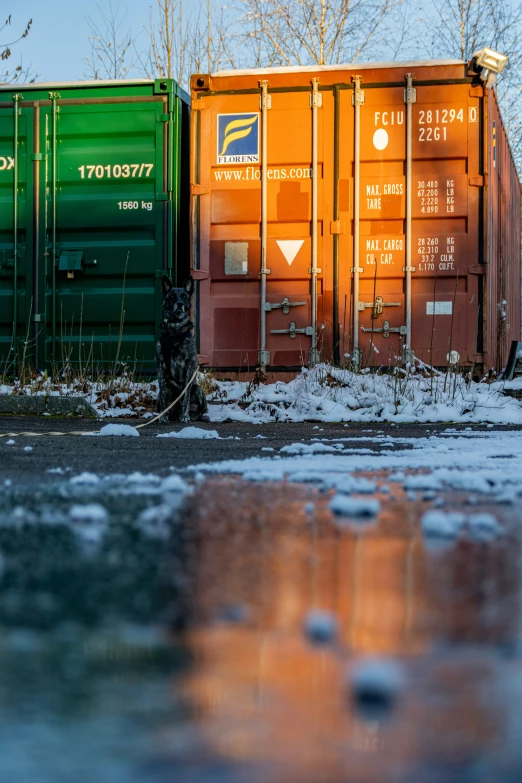 train cars that are parked next to each other