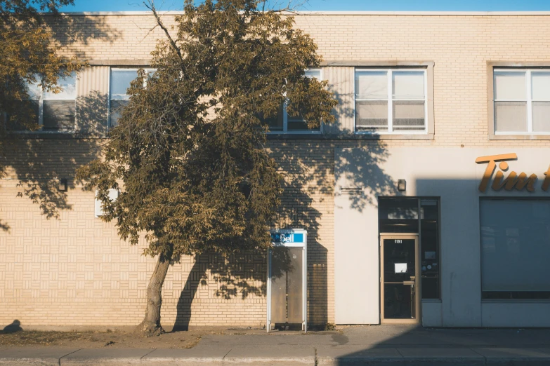 a very tall building sitting next to a tree