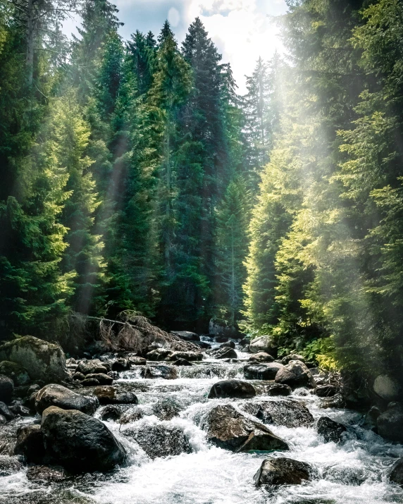 the view from a rocky stream with a lot of green trees