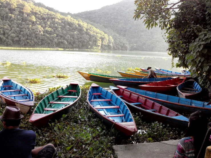 a group of canoes is sitting near water