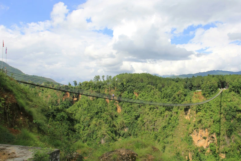 a suspension bridge is above a mountain forest