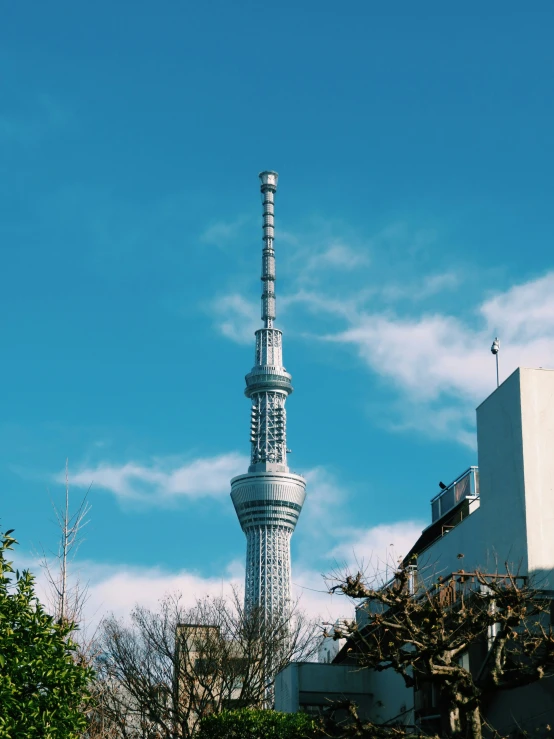 the tall tower sits behind many trees