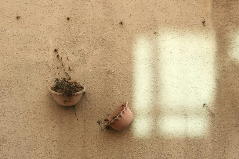 two potted plants sitting on top of a carpet