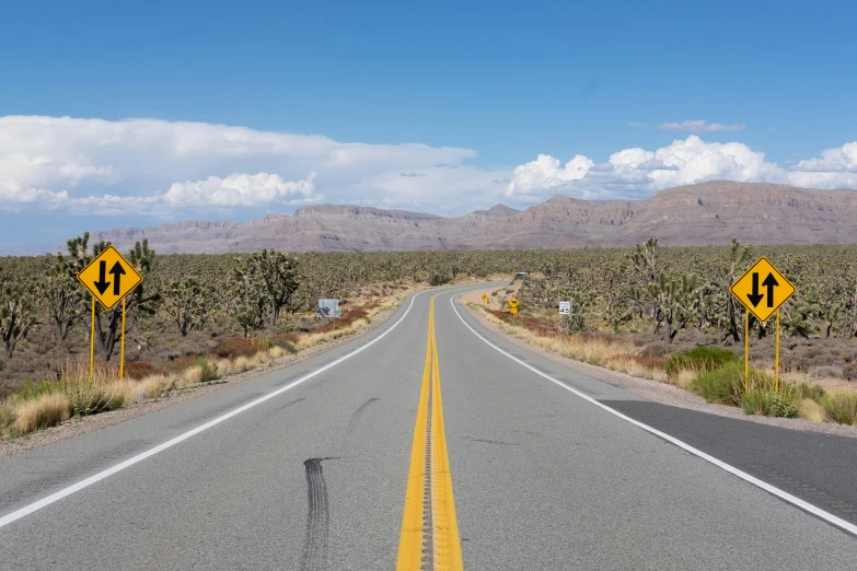 a large road lined with cactuses and mountains in the background