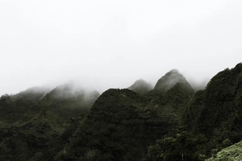 a green hillside with mountain range behind it on a foggy day