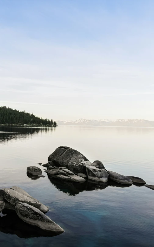 a rock laying across a lake surrounded by a forest