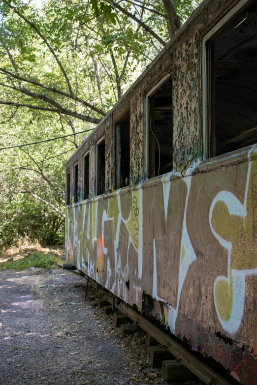 the train is covered in graffiti along the tracks