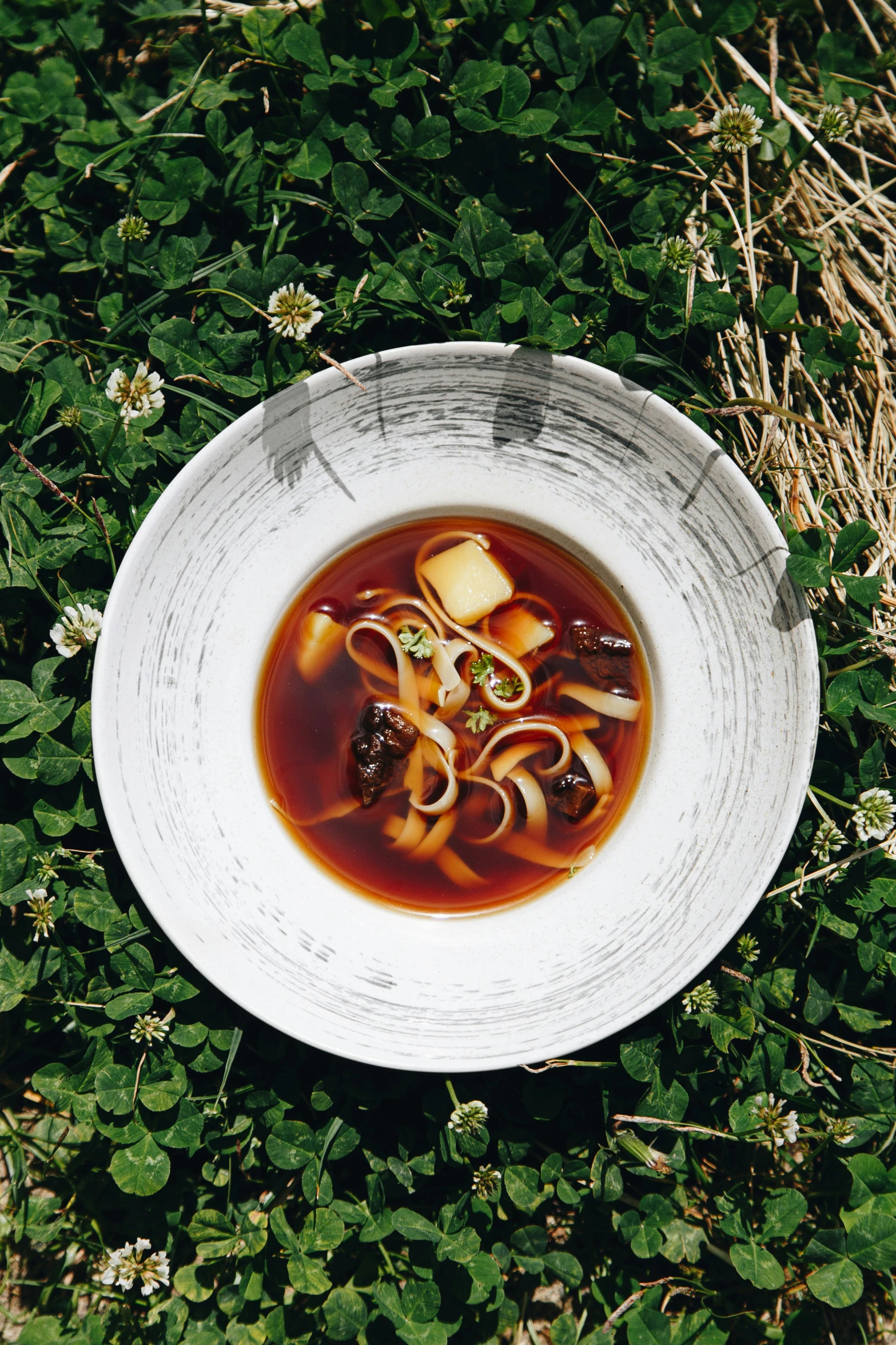 the bowl of soup is on the ground near plants