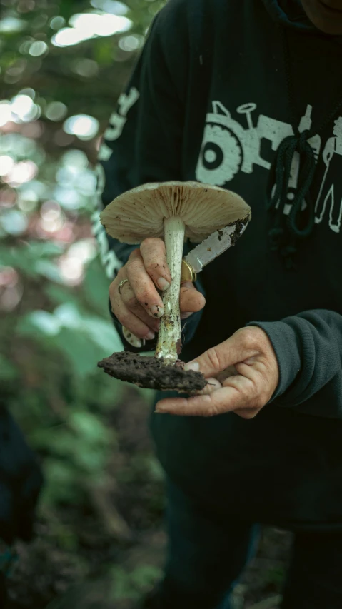 someone is holding an old and strange mushroom