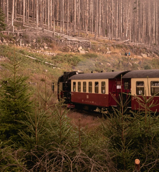 an old train that is traveling through a forest