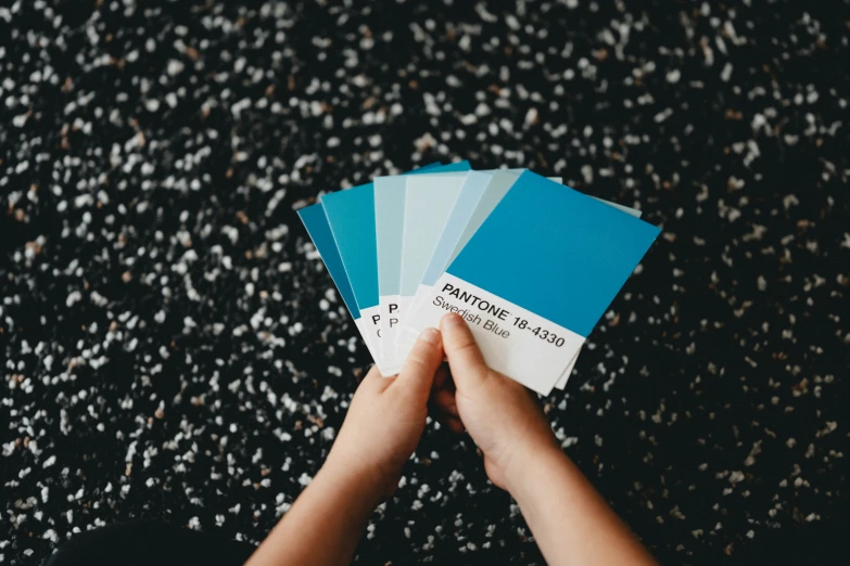 person holding four different colors of paint samples