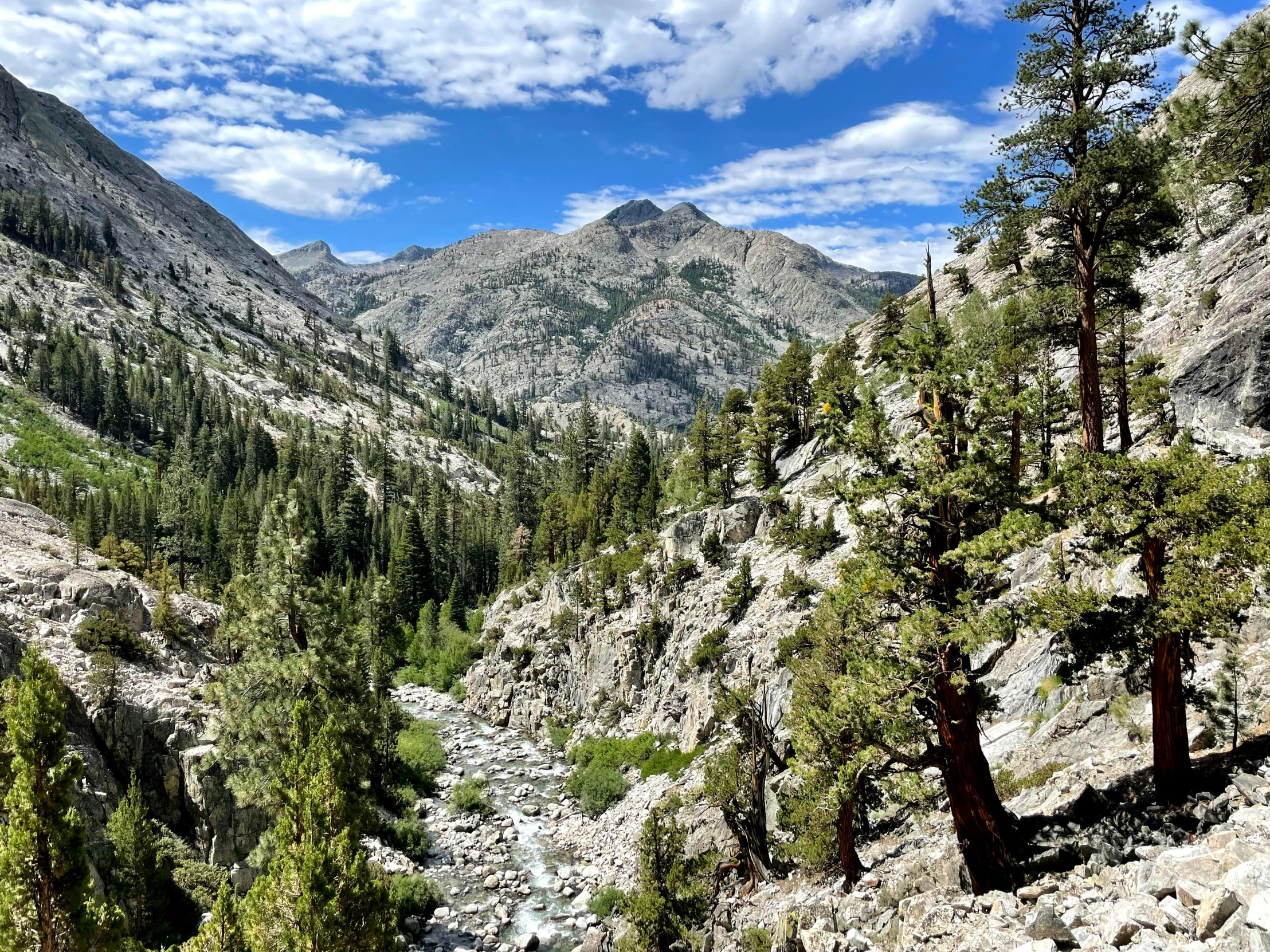 a river flowing between rocks and trees in a valley