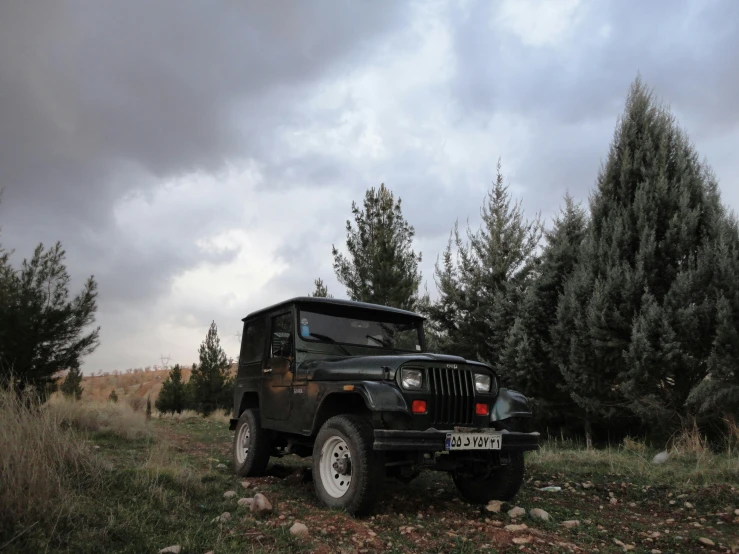 an old truck sits parked beside some trees