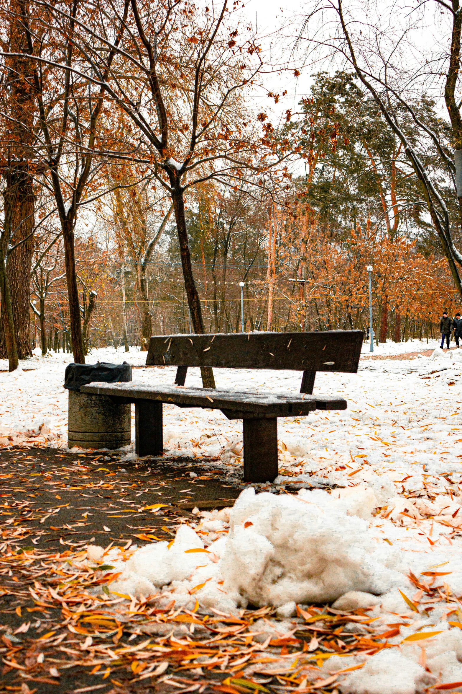 snow covers two park benches and some trees