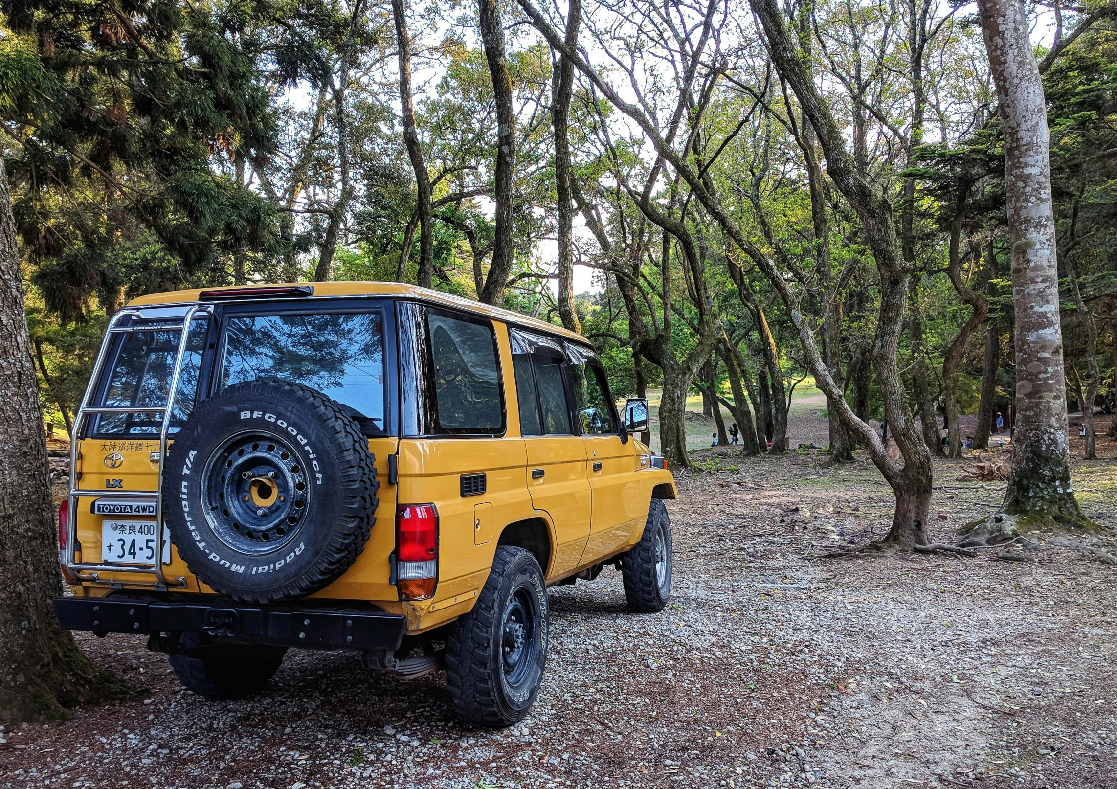 the back of an suv parked in a wooded area