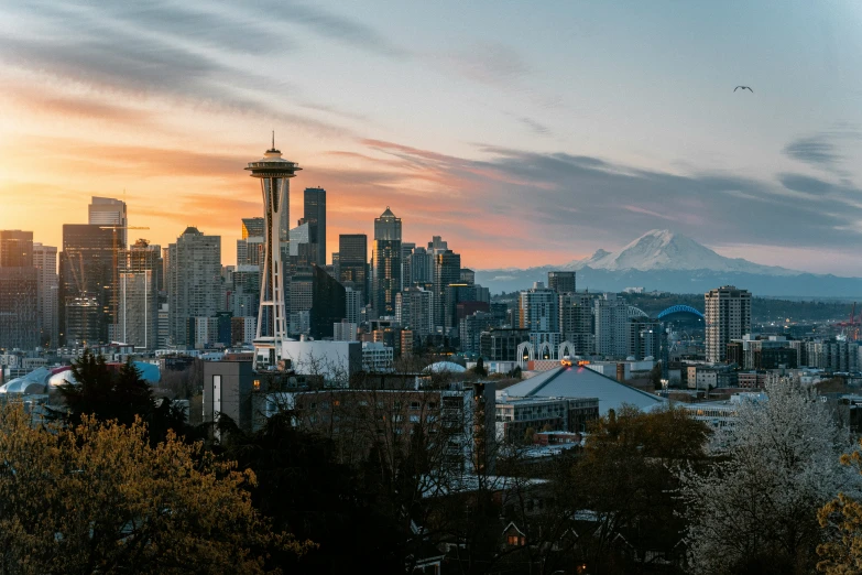 a city skyline with tall buildings on the other side