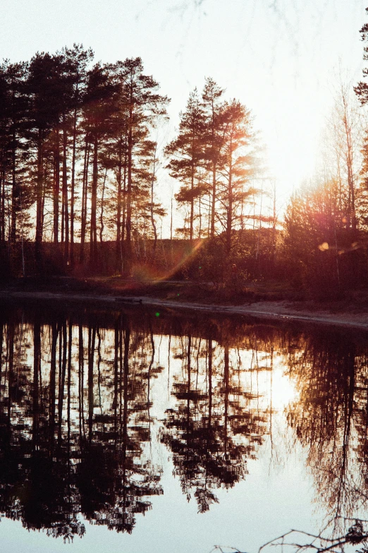 a scenic lake in the middle of a forest