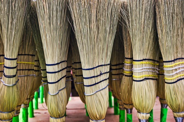 several bundles of decorative grass stacked together on green wooden posts