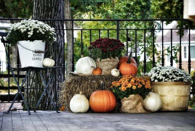 a pumpkin display by the railing of a porch