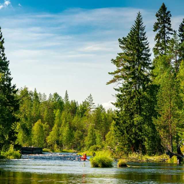 a person rowing a boat down a river