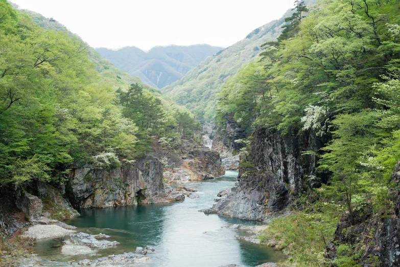 the view of a river going through a mountain gorge