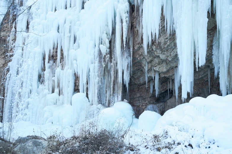 a person stands in a forest beside icicles on rocks