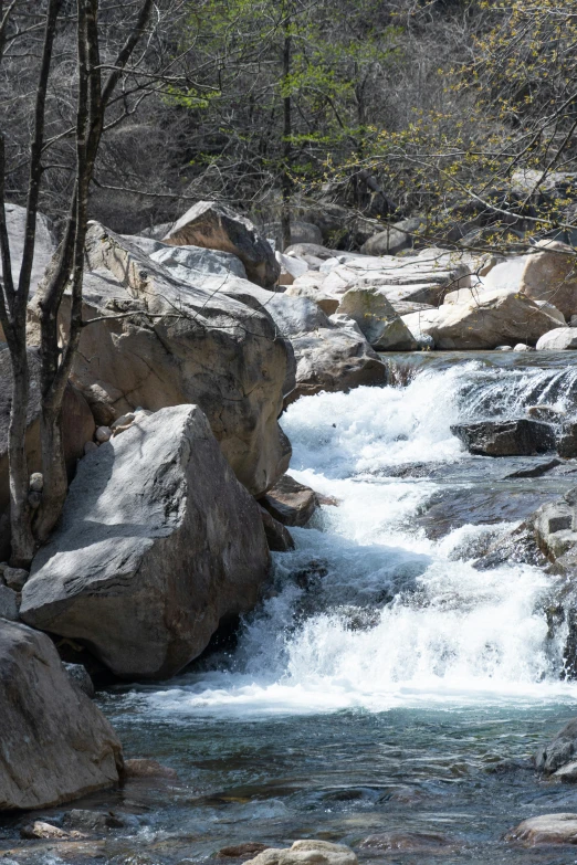 small water fall with rocks and trees