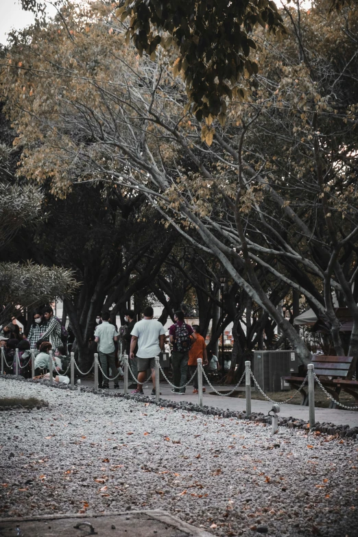 people line up to purchase items at a park