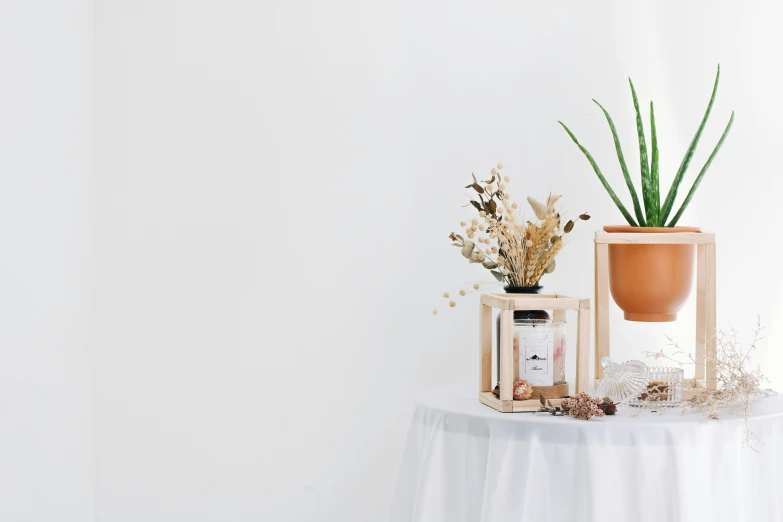 two flower pots sit atop a table with white table cloth