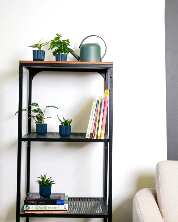 there are plants on this bookshelf in the corner
