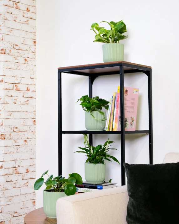 several planters sitting in a corner on a shelf