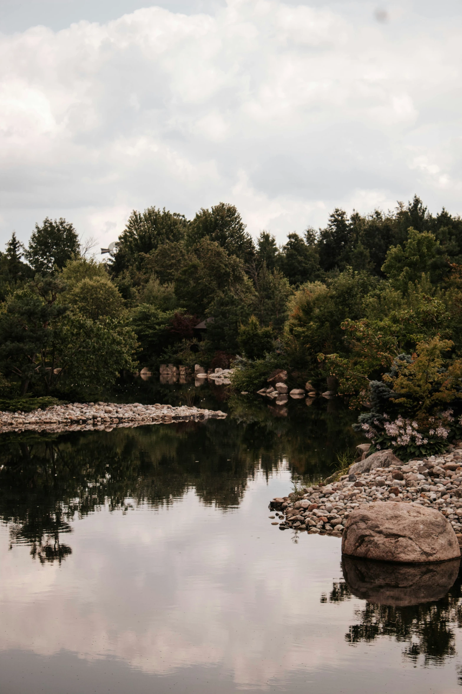 a pond in the middle of the woods near a forest