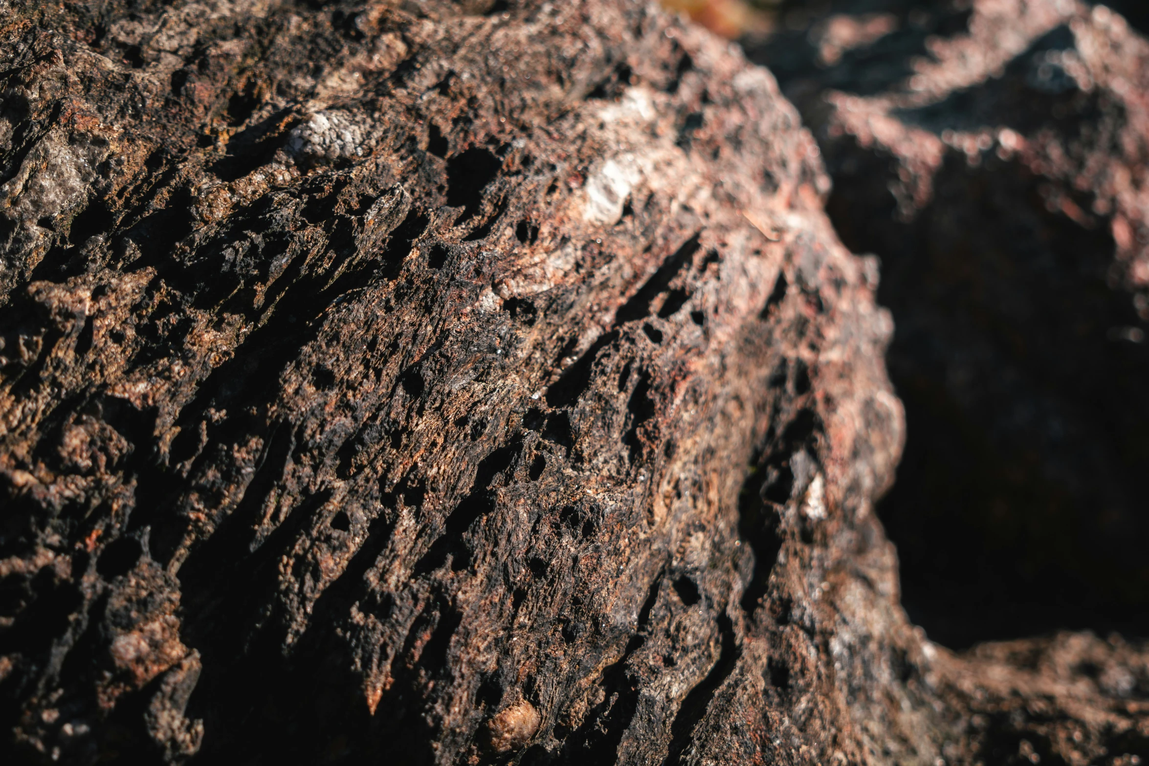 a brown rock with different rocks on top of it