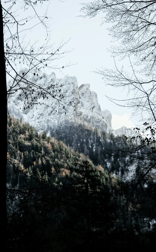 a small hill with trees on it that has snow all around