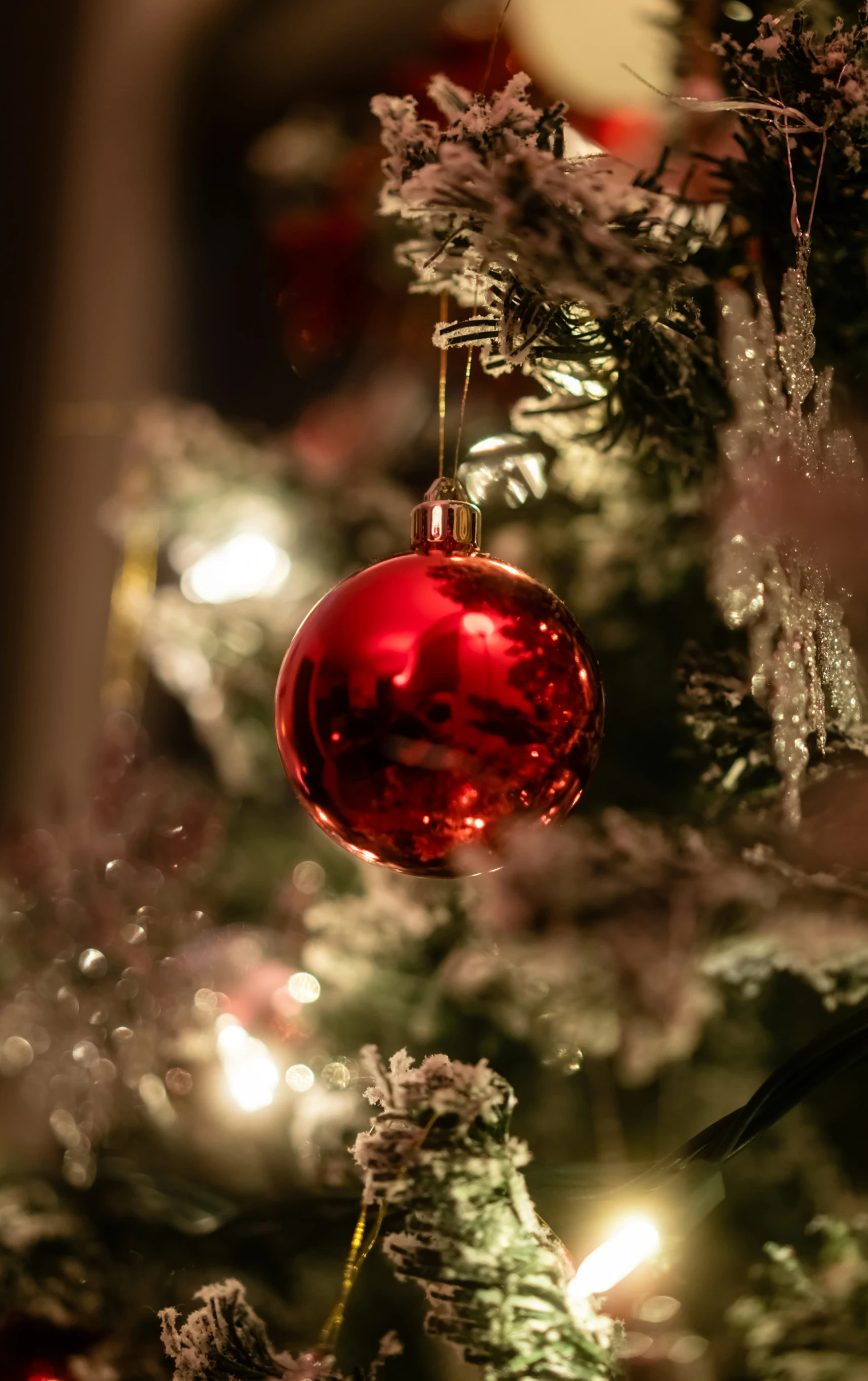 a red bauble ornament hanging from a christmas tree