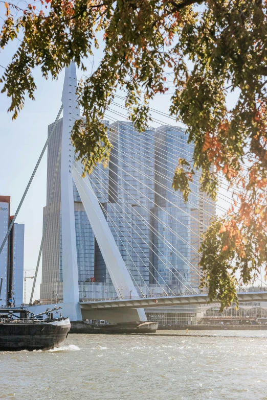 the view of an urban bridge from across the water