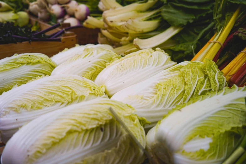 closeup of a pile of fresh cabbages and other vegetables