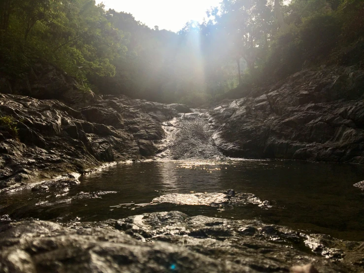 the sun shines on water with trees in background