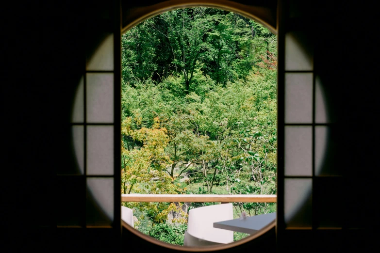 view through open door looking outside with green trees